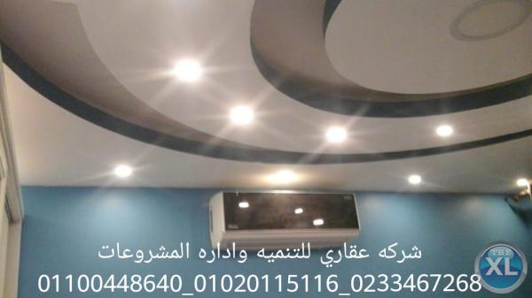 افضل ديكور في مصر  (شركه عقاري للتنميه واداره المشروعات)01020115116