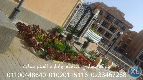 ديكورات حدائق  (شركه عقاري للتنميه واداره المشروعات)01020115116