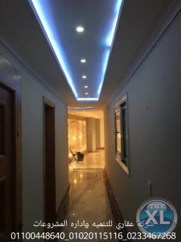 شركه تشطيبات (شركه عقاري للتنميه واداره المشروعات)01020115116