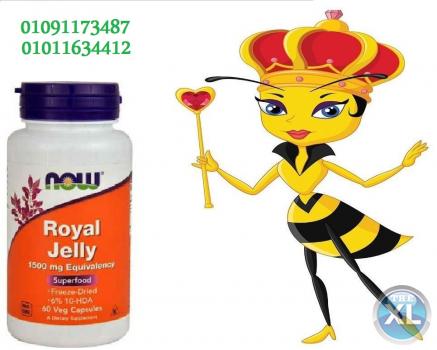 غذاء ملكات النحل لعلاج ضعف الجسم وتغذيته