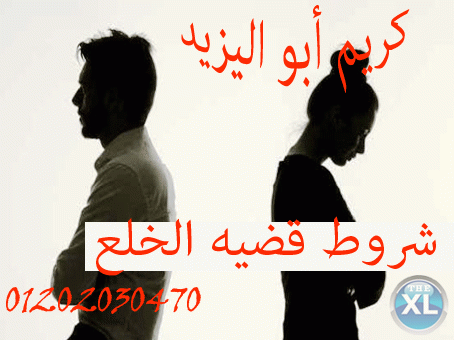 اشهر محامي خلع  (كريم ابو اليزيد)01202030470