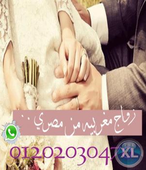 افضل محامي في القاهره والاسكندريه(كريم ابو اليزيد)01202030470