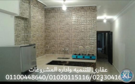 شركة ديكور ( 01100448640 _ 01020115116 ) ( عقارى )