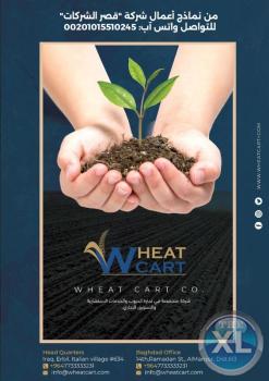 صمّم بروفايل شركة احترافي بشكلٍ فوري 24 ساعة فقط