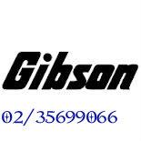 مراكز صيانة جيبسون منشية البكاري 01112124913 رقم الادارة 02357